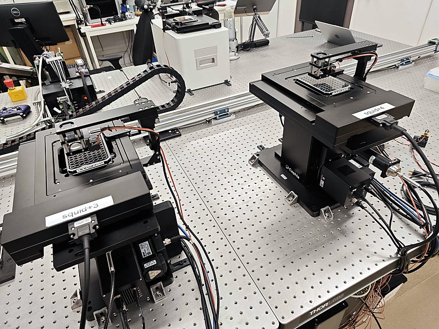Two microscopes on an optical table, each holding a 96-well plate