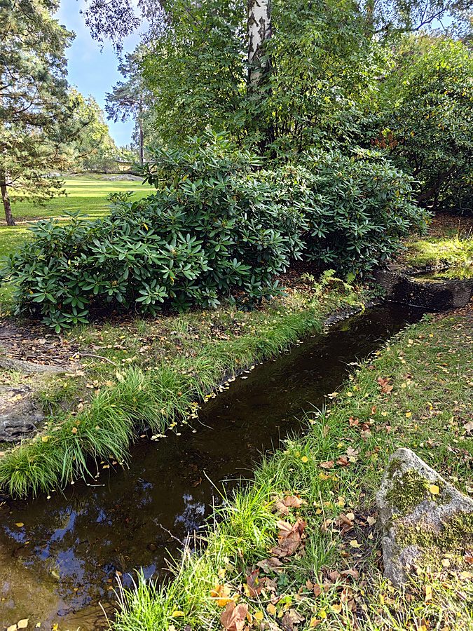 A small water channel in a green park